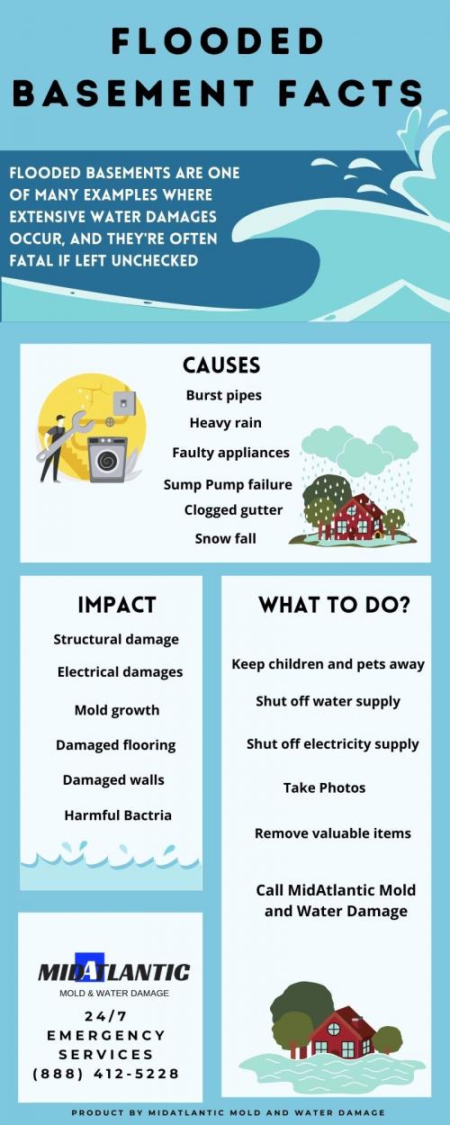 flooded basement cleanup dc infographic