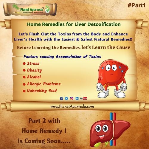 Home Remedies for Liver Detoxification