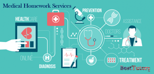 Medical Homework Services