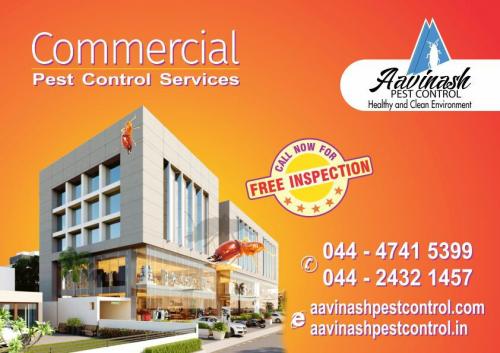 Pest Control Services in Chennai