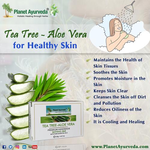 Tea Tree - Aloe Vera for Healthy Skin