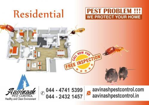 Pest Control Services in Chennai