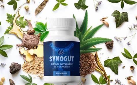 synogut