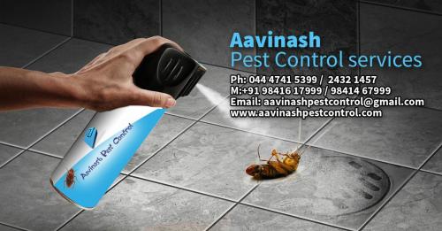 Commercial Pest Control Services in Chennai