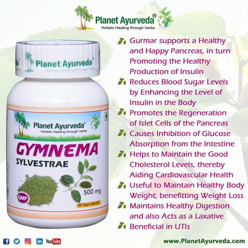 Gymnema Slvestrae - Herbal Remedy for Diabetes