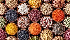 Bioactive Ingredients Market