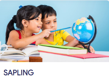 Sapling - Matippu | Holistic education and Development Platform