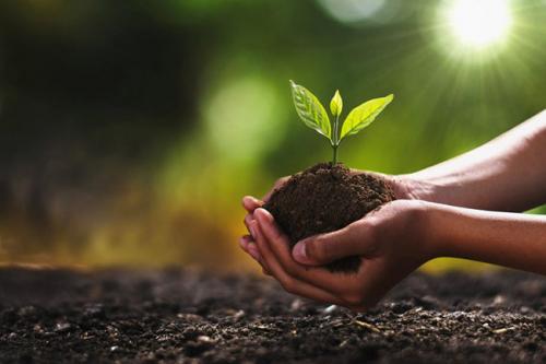 Europe Biofertilizer Market
