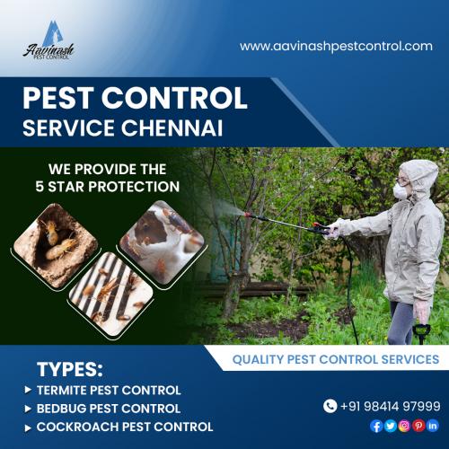 Best Eco-friendly Pest Control Services In Chennai