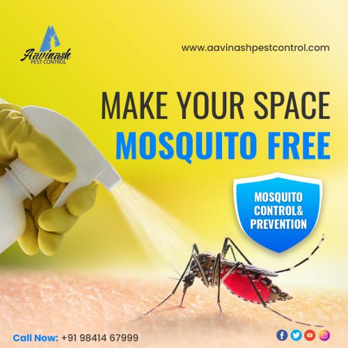 Pest Control Services in Chennai