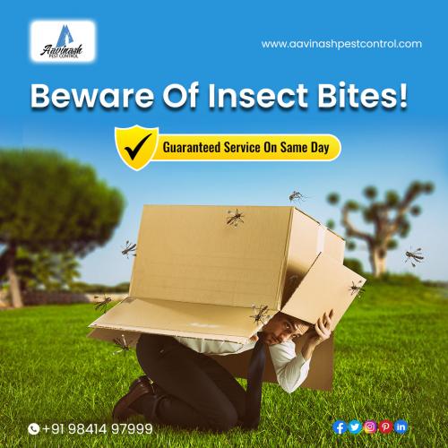 Pest Control Services in Chennai