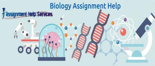 Biology Assignment Help