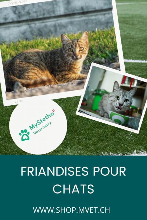 Friandises pour chats de qualitÃ© supÃ©rieure Ã  GenÃ¨ve