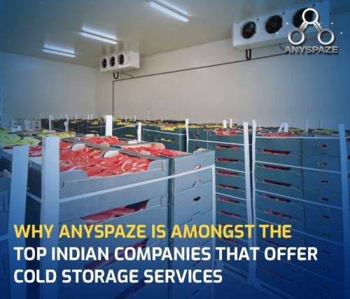 Why Anyspaze is Among the top Indian Companies That Offer Cold Storage Services