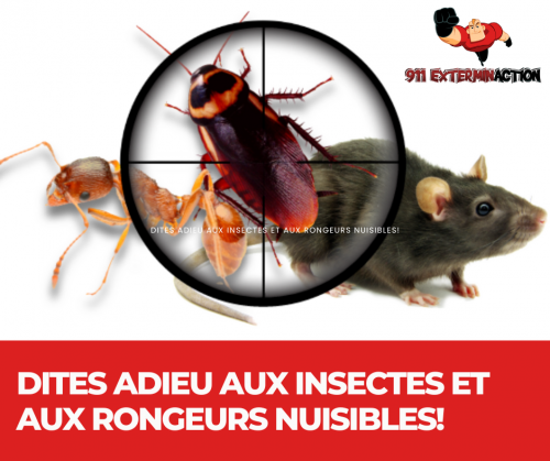 DITES ADIEU AUX INSECTES ET AUX RONGEURS NUISIBLES! (1)