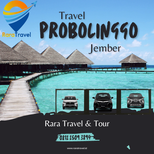 Travel Probolinggo Jember