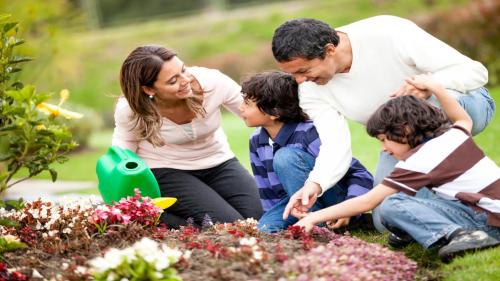 WHAT ARE THE BENEFITS OF GARDENING WITH KIDS – WHY DO YOU NEED LANDSCAPE CONTRACTORS IN DUBAI