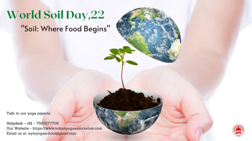 World Soil Day