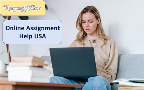 Online Assignment Help USA