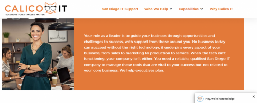 hire Calico IT service in San Diego