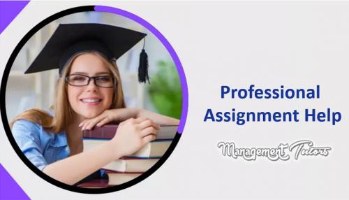 Professional Assignment Help UK