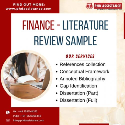 W4 Finance literature review  sample