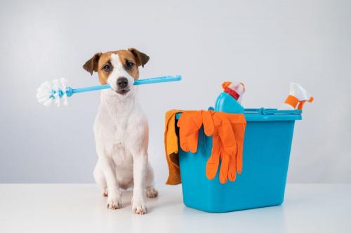 Protect_Your_Furry_Friends_Cleaning_products_safe_for_pets__2__Px5Gd_MgI