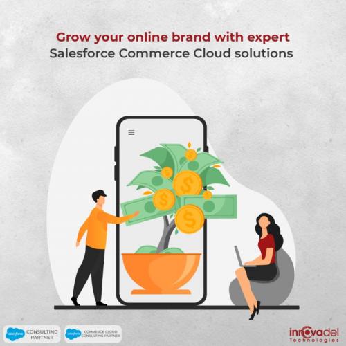Expert Salesforce Commerce Cloud Solutions