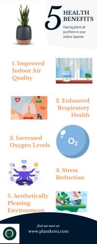 Top 5 Benefits of having plant air purifiers in your indoor spaces