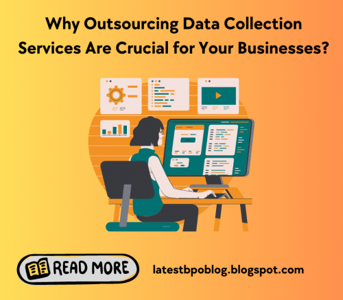 How Data Collection Services Transform A Business (6)