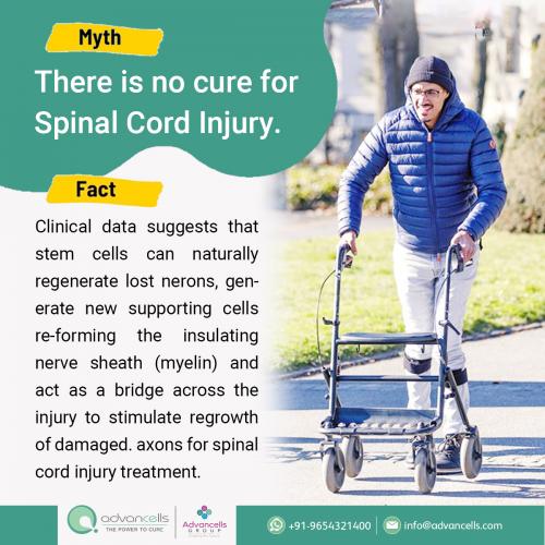 Myths and Facts about Spinal Cord Injury