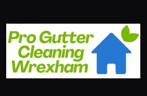 gutter cleaners Wrexham