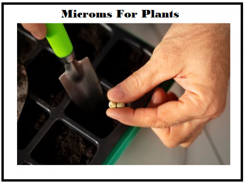 microm for plants