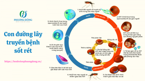 con-duong-lay-truyen-benh-sot-ret