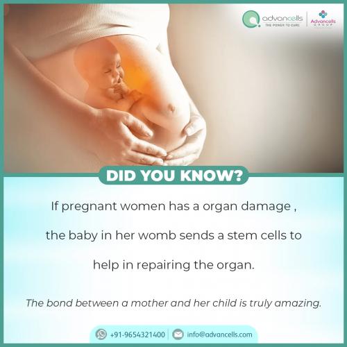 Facts About Pregnant Women