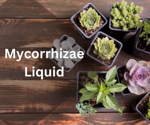 Mycorrhizae Liquid (1)