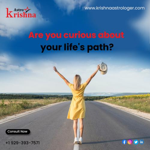 Are you curious about your life's path