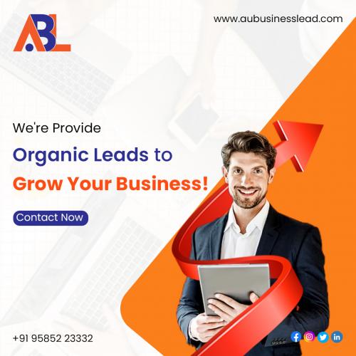 Aubusinesslead