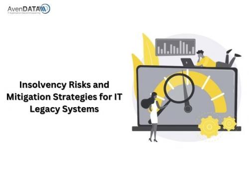 Insolvency Risks and Mitigation Strategies for IT Legacy Systems