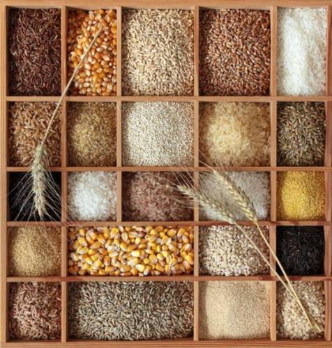 Grains of Goodness Explore Our Organic Grains and Flours Online - Asmita Organic Farm