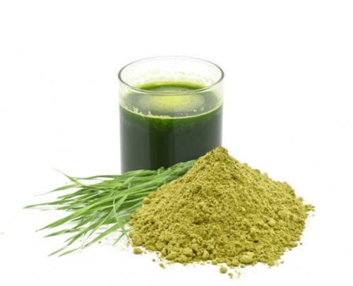 Buy Pure Organic Wheatgrass Powder Online Boost Your Health Naturally - Asmita Organic Farm