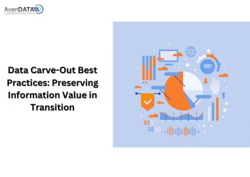 Data Carve-Out Best Practices- Preserving Information Value in Transition