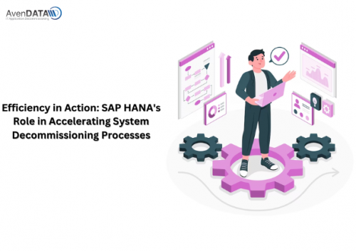 Efficiency in Action- SAP HANA's Role in Accelerating System Decommissioning Processes