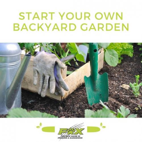 Start Your Own Backyard Garden