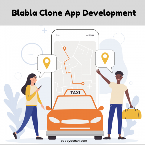 blabla clone app development