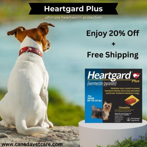 Canadavetcare Heartgard Plus 20 % Off