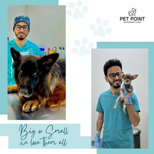 DubaiVeterinaryCare