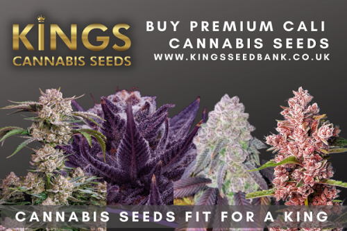Buy Cali Seeds UK - Kings Seedbank