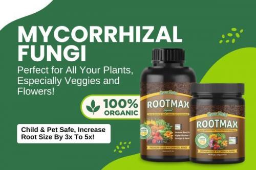 Use Mycorrhizal Fungi This Summer