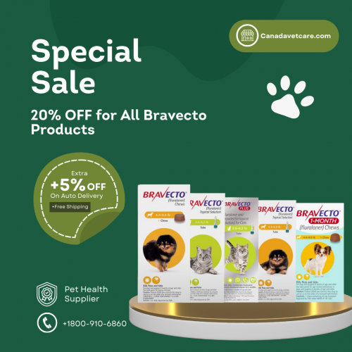 Special Summer Sale 20% Off On Bravecto Products